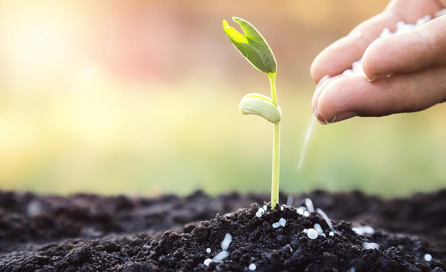 Biological product regulations | Sagentia Regulatory