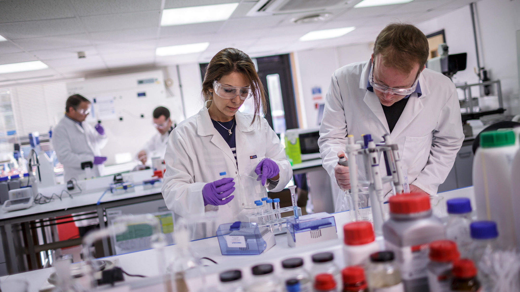 technicians in lab sagentia