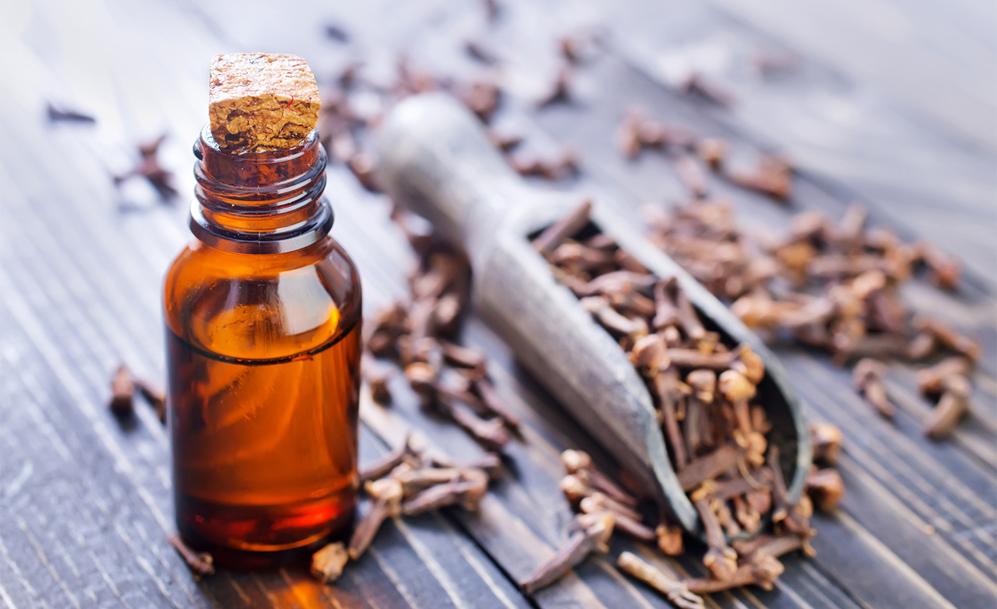 Cloves representing Sagentia Regulatory's Biocides services