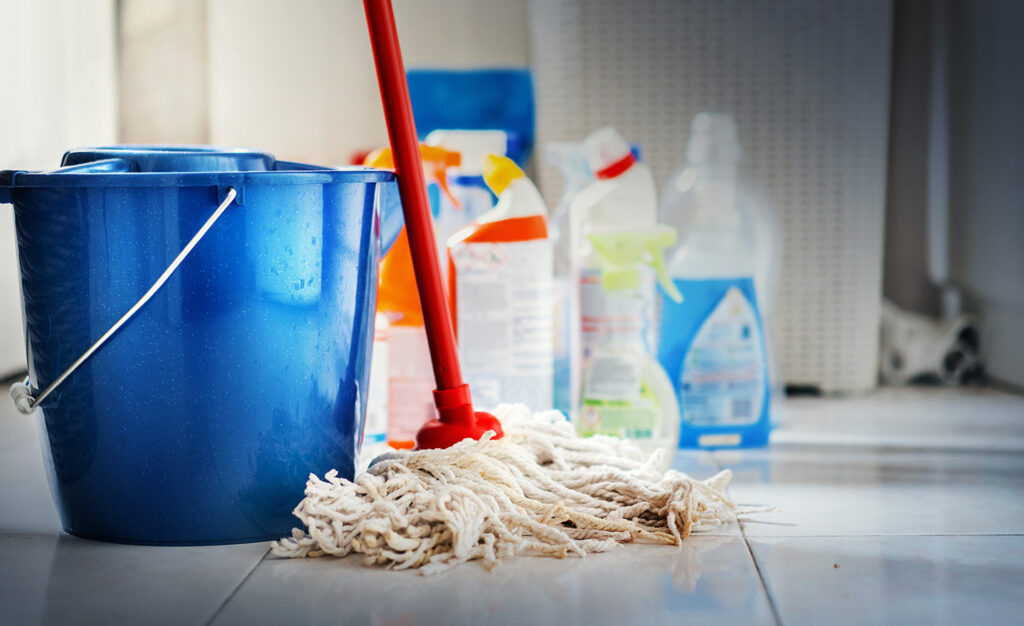 Cleaning products representing Sagentia Regulatory's Canadian biocides regulatory services