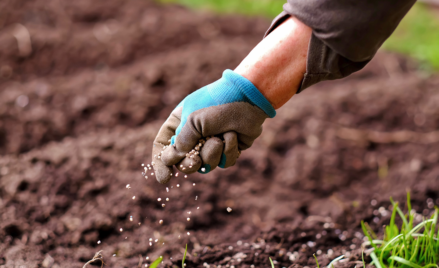 Fertilizer representing Sagentia Regulatory's state registration services