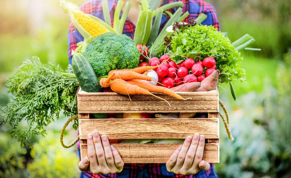 Basket vegetable produce representing Sagentia Regulatory's biopesticide