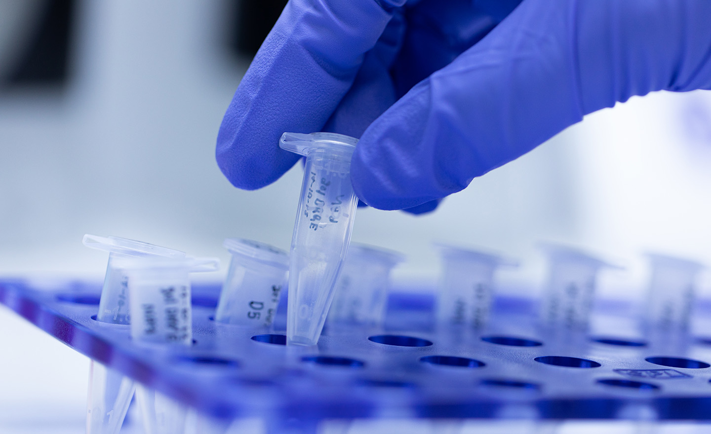 Test tubes representing Leatherhead Food Research's food safety services