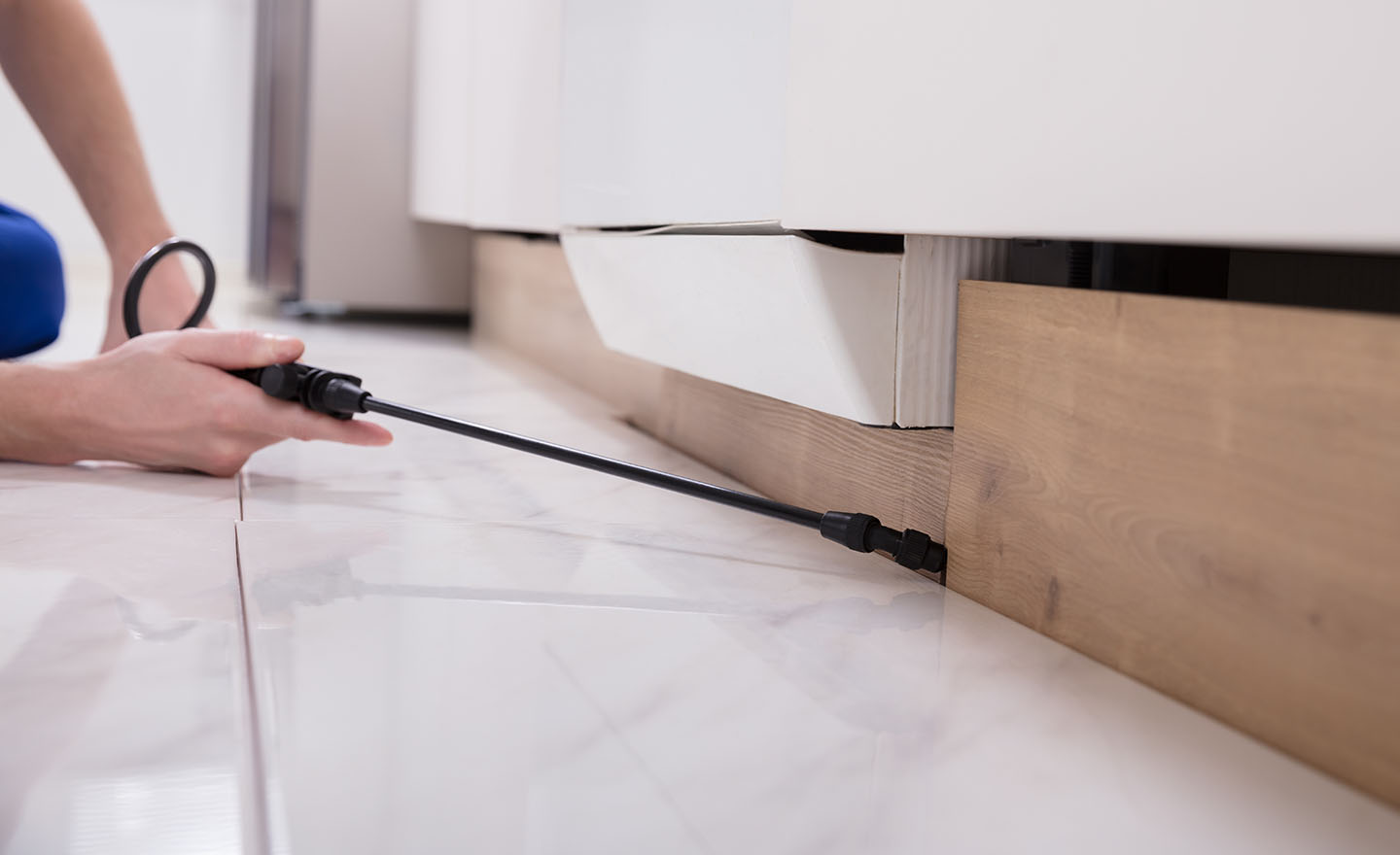 Spraying pesticides in kitchen representing Sagentia Regulatory's services under the BPR