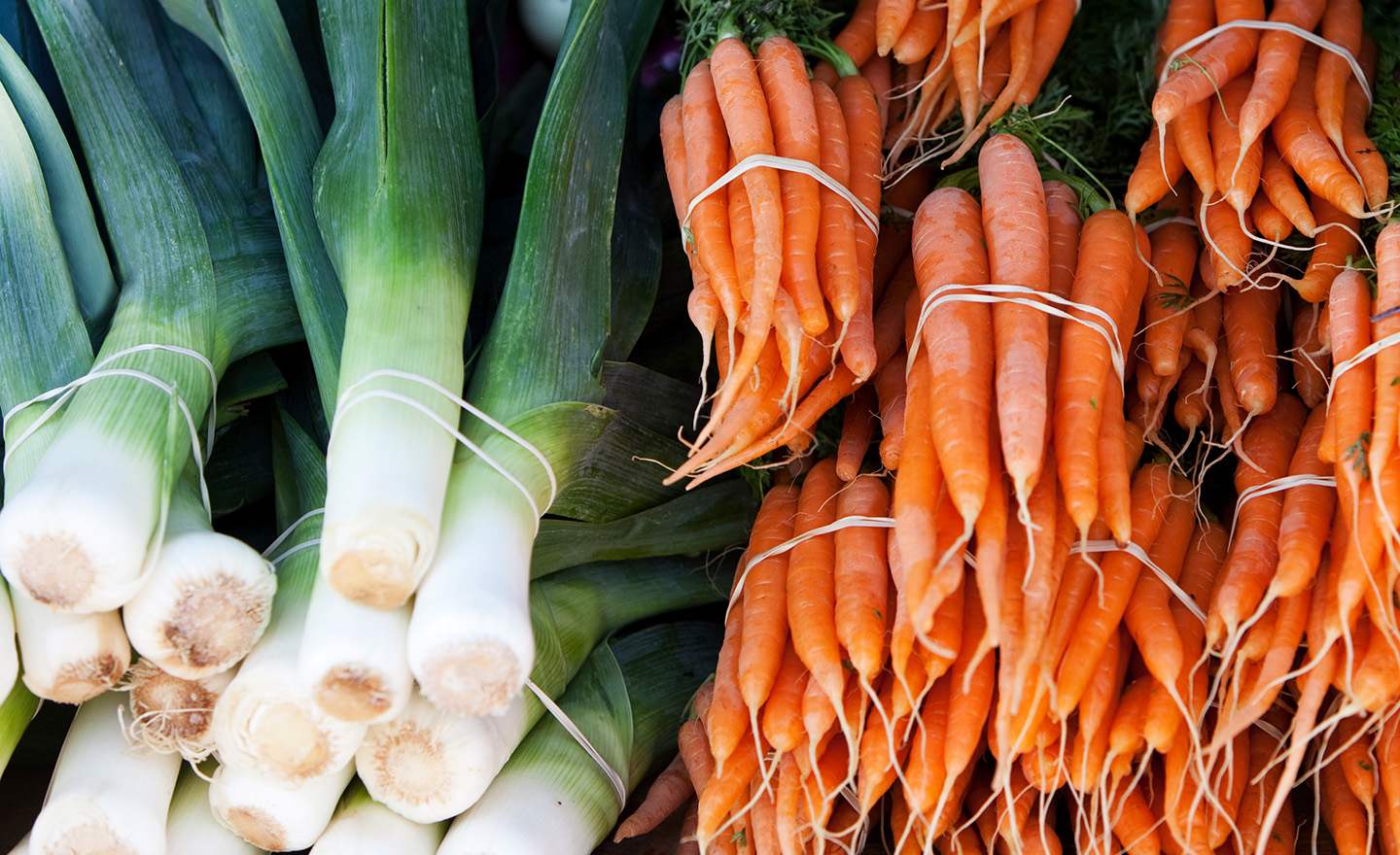 Carrots and leeks representing the ban of Haloxyfop-P and Sagentia Regulatory's support
