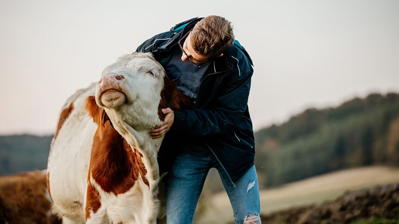 Shot of a young farmer with his herd of livestock in the field