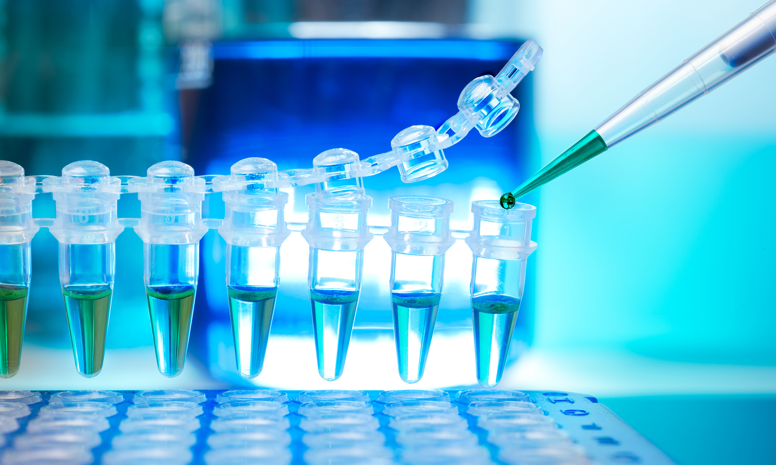 In vitro testing representing Sagentia Regulatory's services