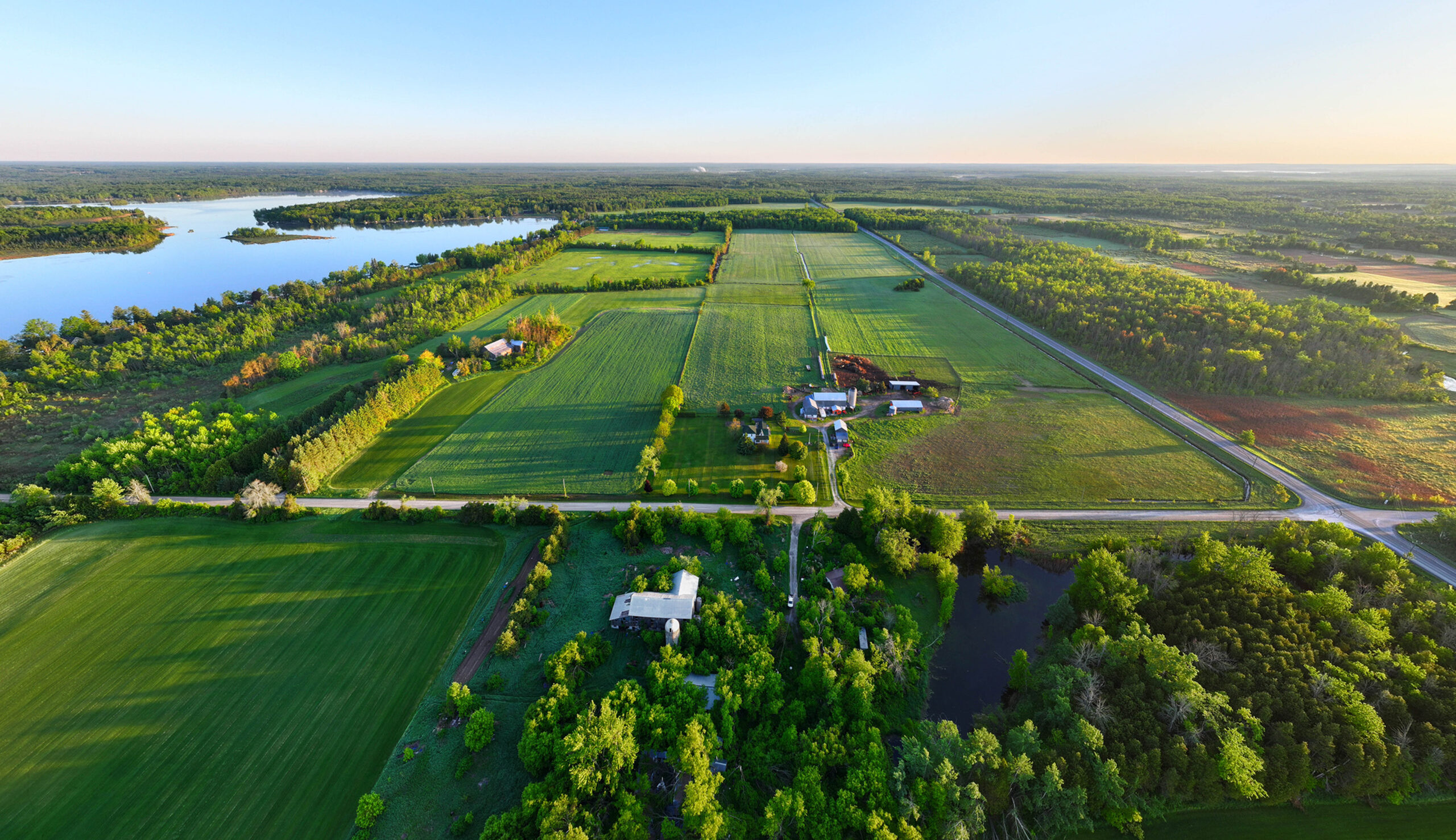 Aerial view of farmland with rectangular green fields, a winding river, and tree clusters under a clear sky.