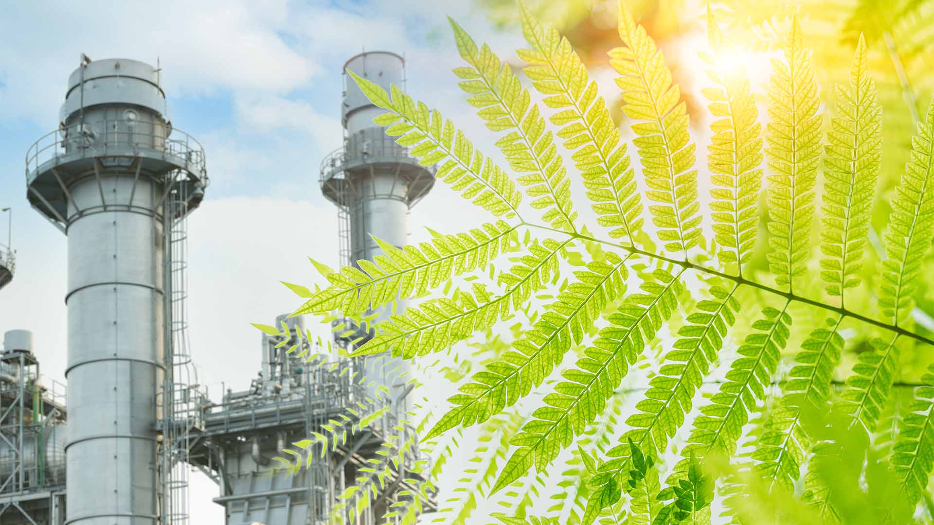 Energy