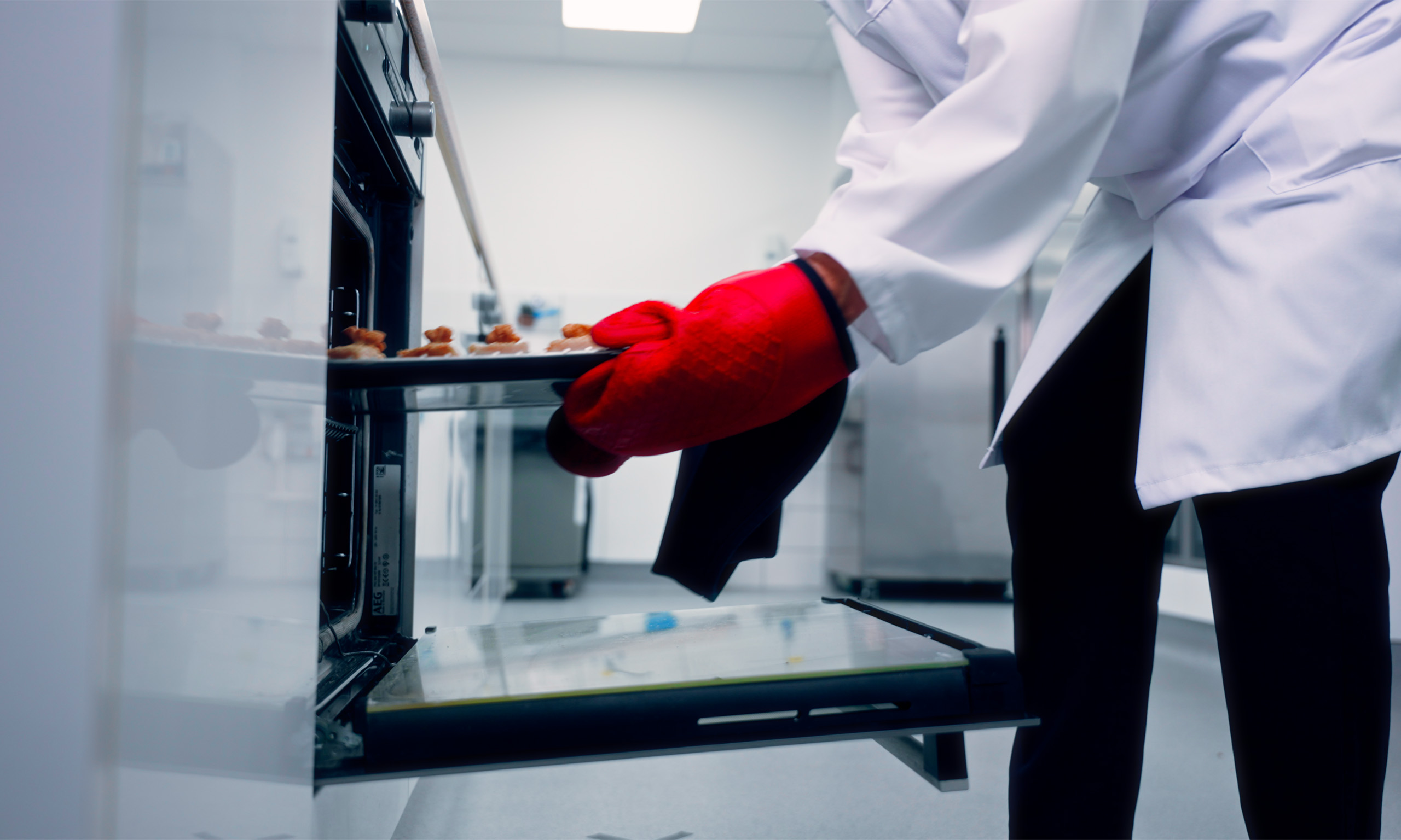 Cooking food in oven representing cooking instruction validation | Leatherhead Food Research