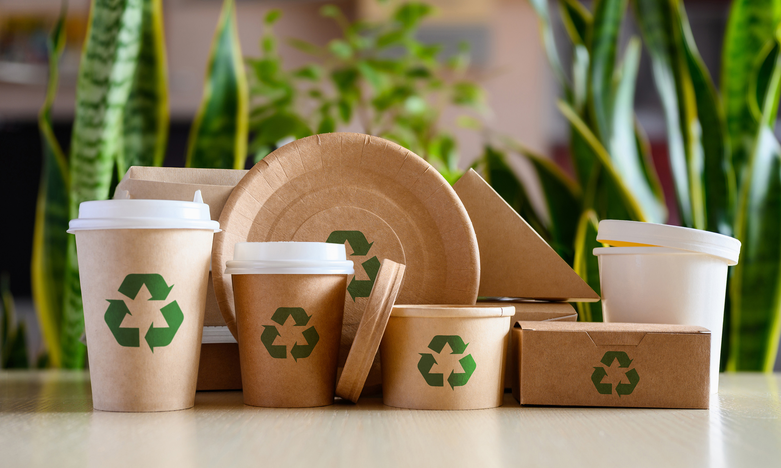 Photo of various recyclable packages representing global sustainability regulations | Leatherhead Food Research