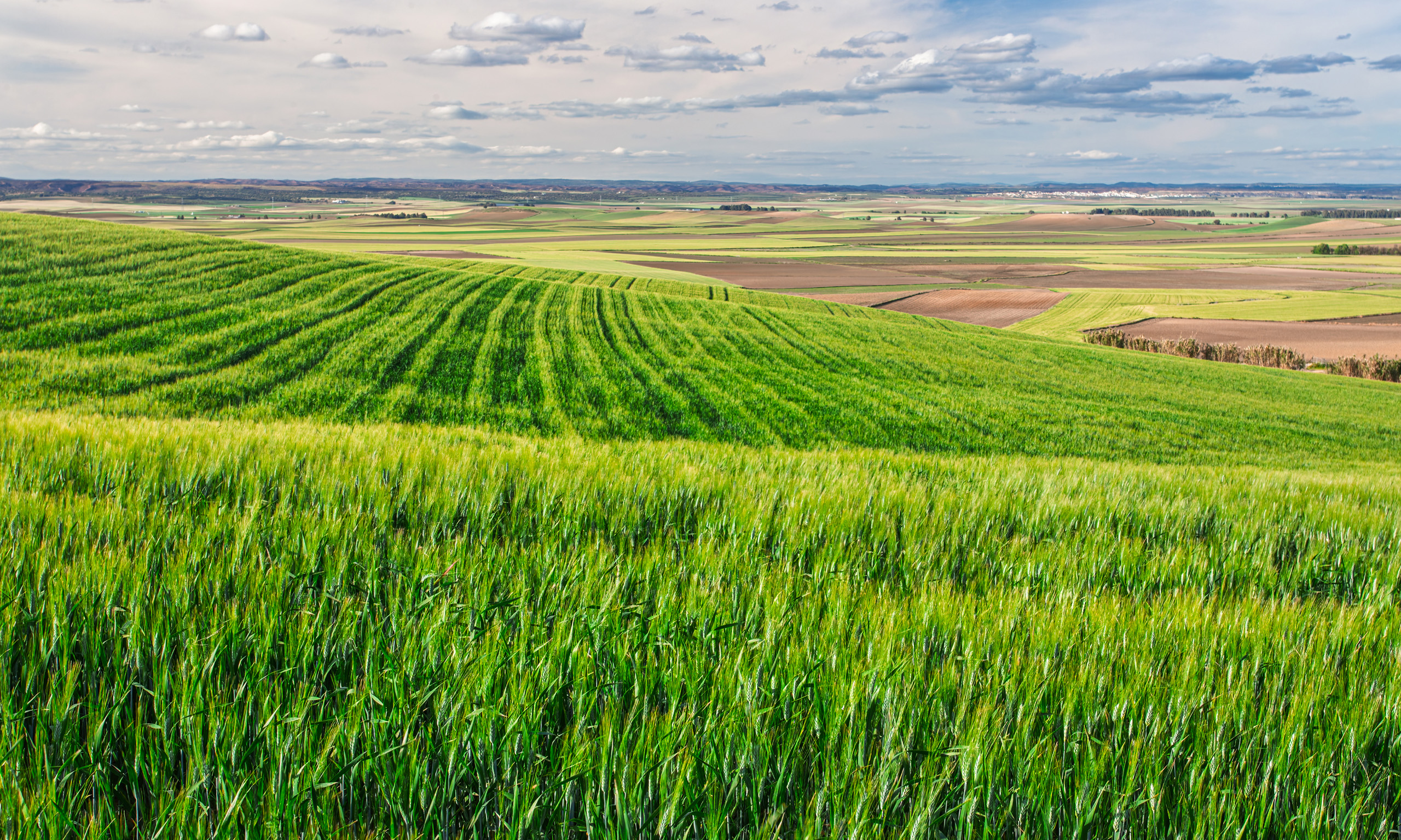 Rolling green fields of crops under a blue, cloudy sky; distant patchwork farmland stretching to the horizon.