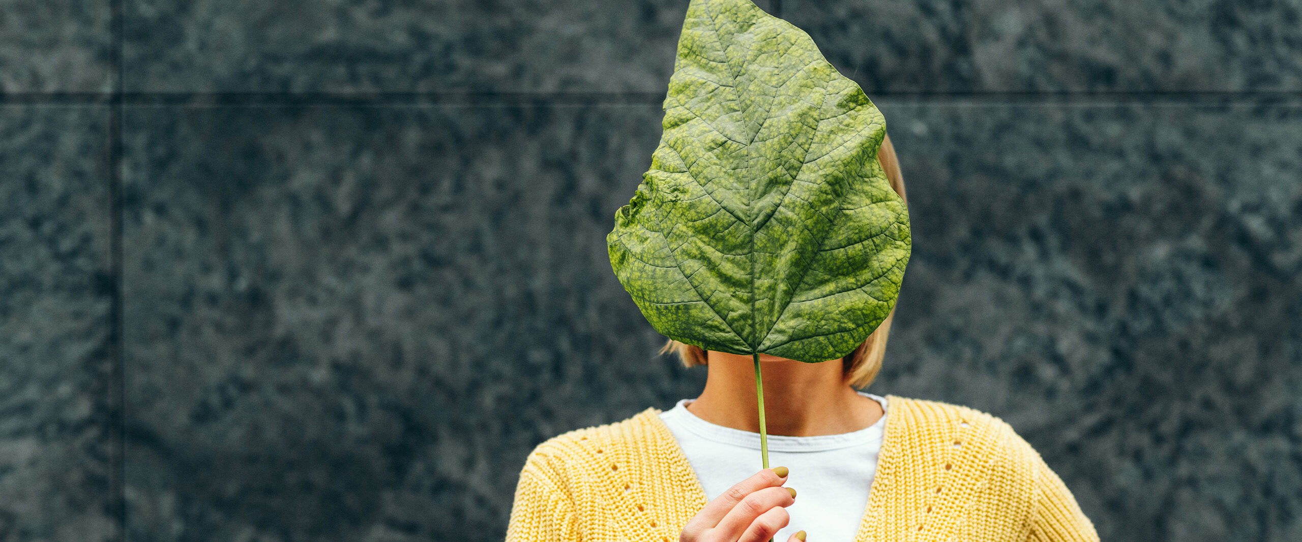Person wearing a yellow sweater holds a large green leaf in front of their face, obscuring their identity.