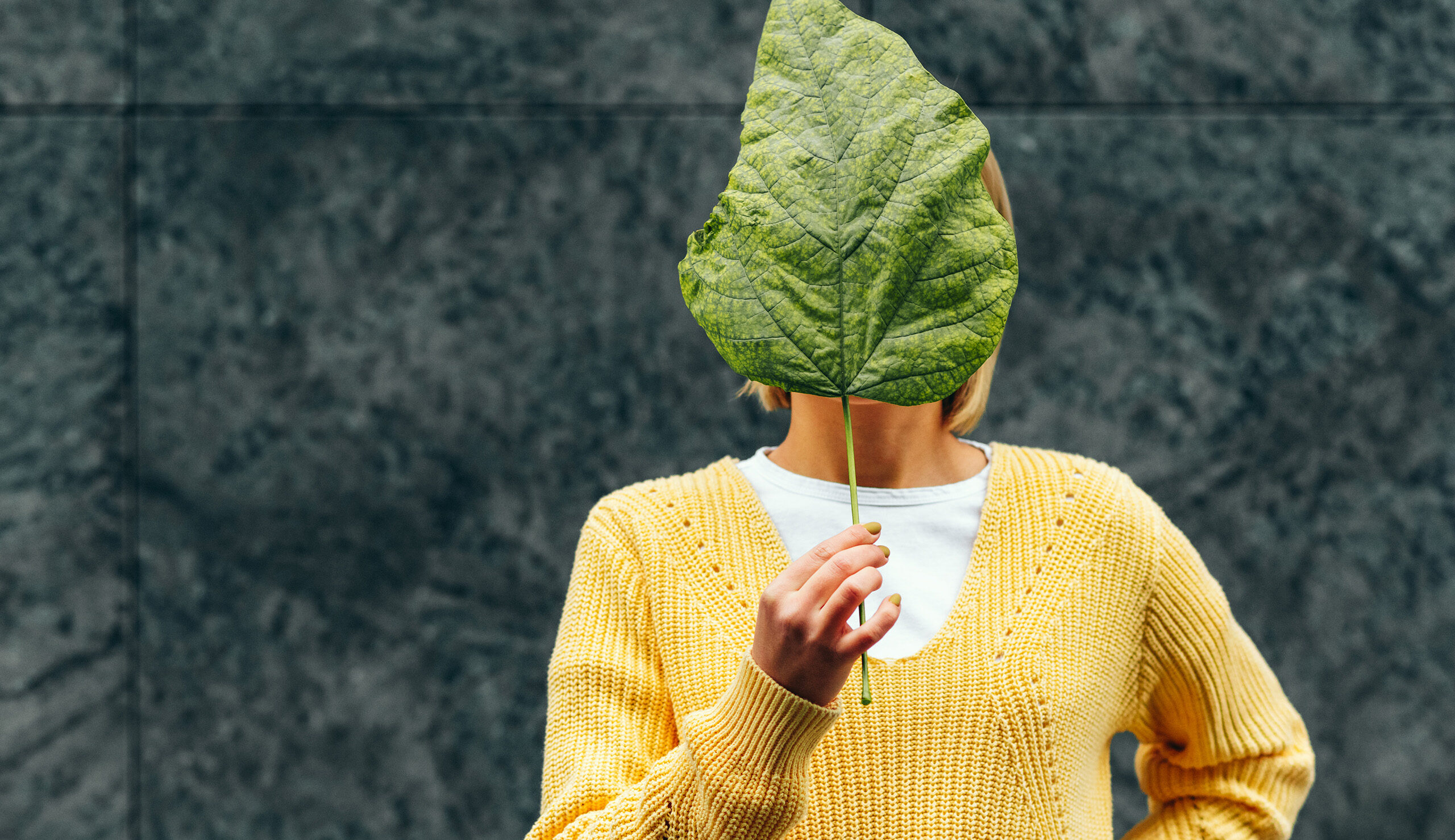 Person in a yellow sweater holds a large green leaf over their face, obscuring their identity against a dark background.