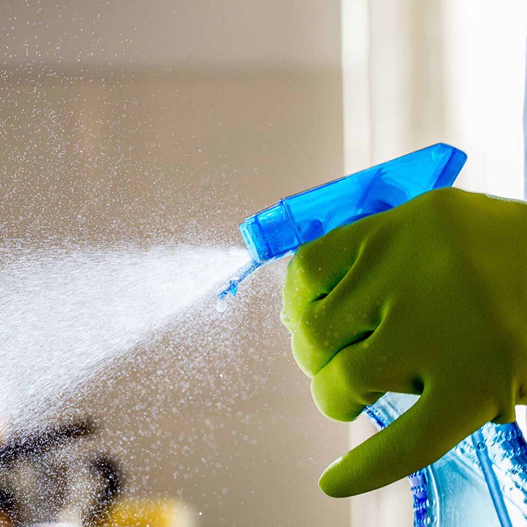 Spraying kitchen surface with disinfectant, representing Sagentia Regulatory's pesticide registration services