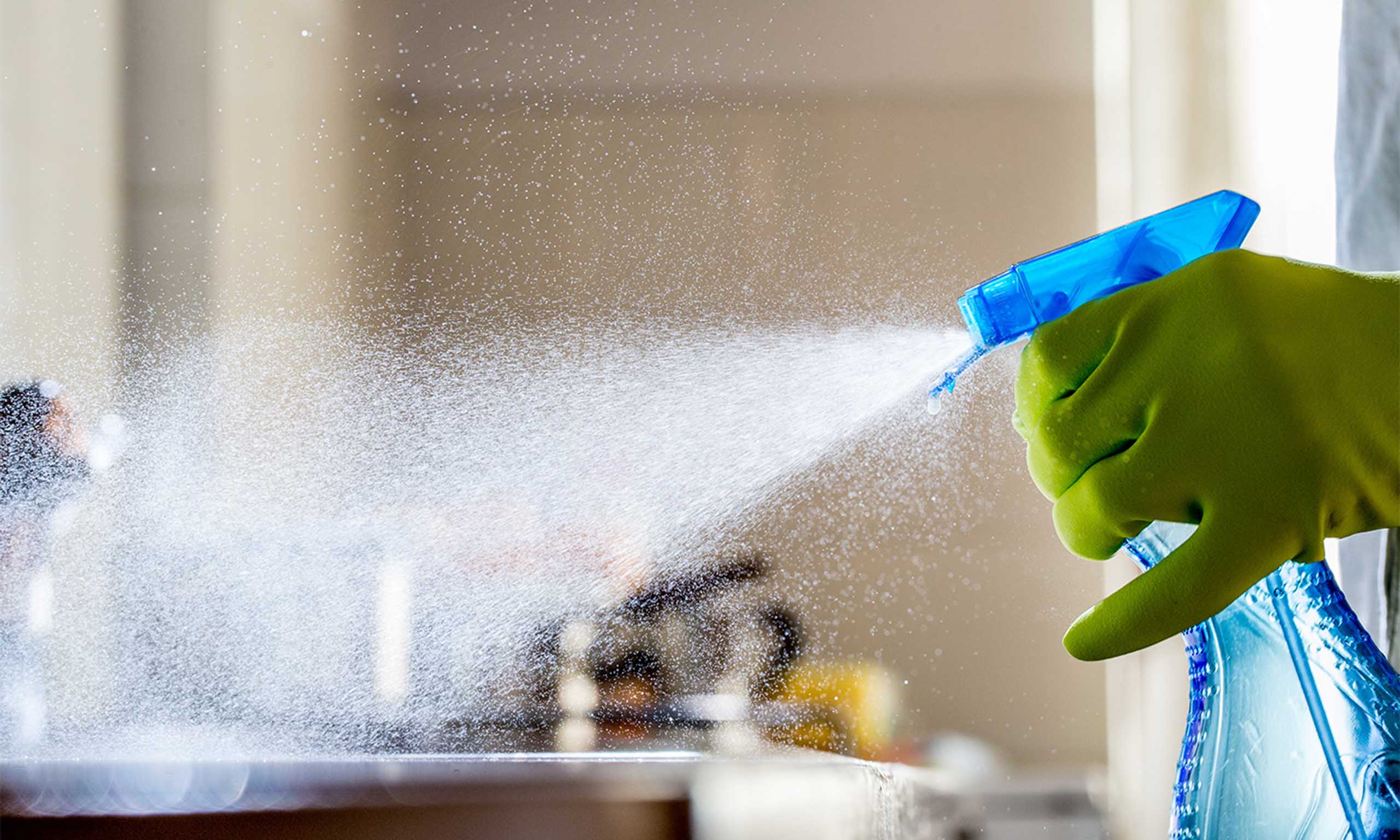Spraying kitchen surface with disinfectant, representing Sagentia Regulatory's pesticide registration services