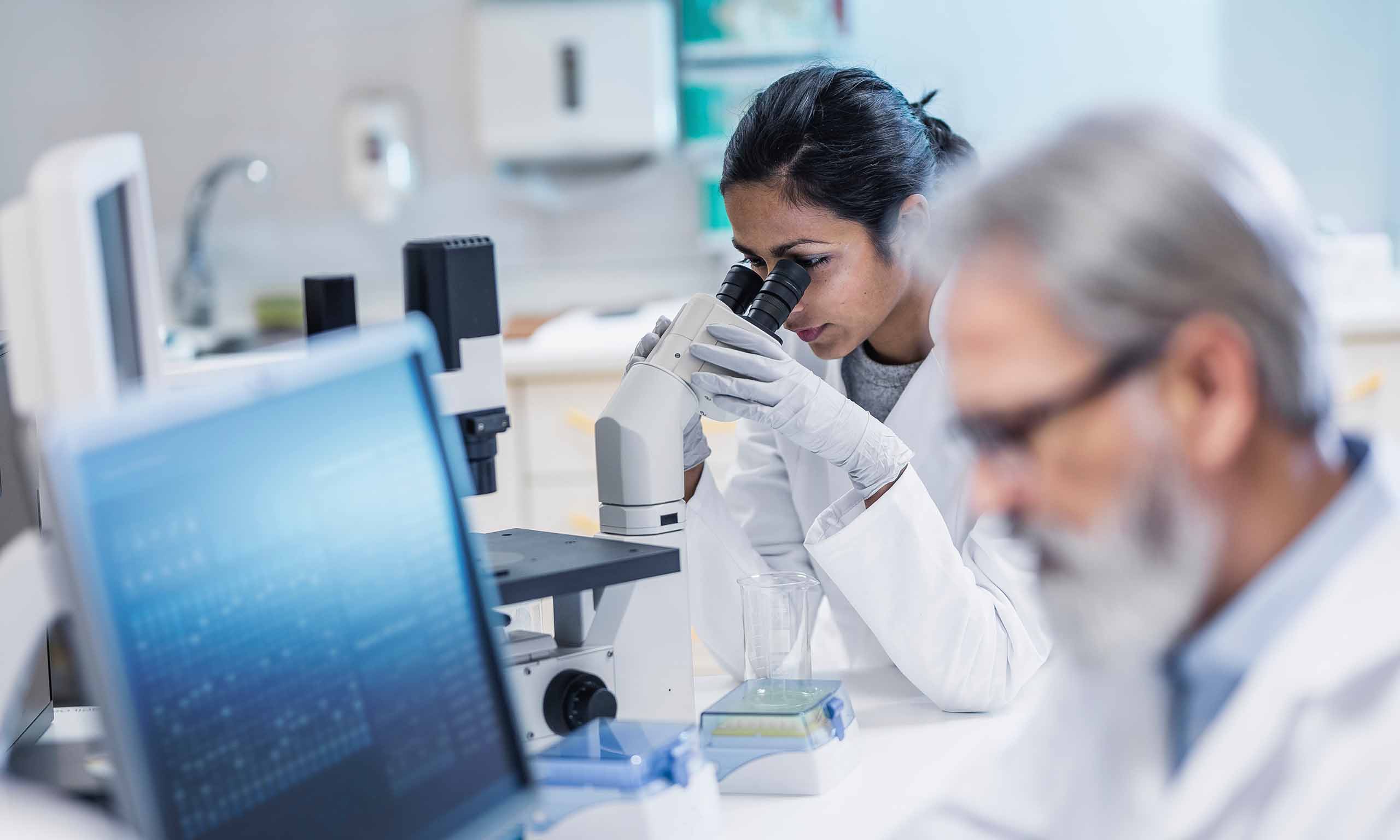 Scientists reviewing antimicrobial data requirements | Sagentia Regulatory
