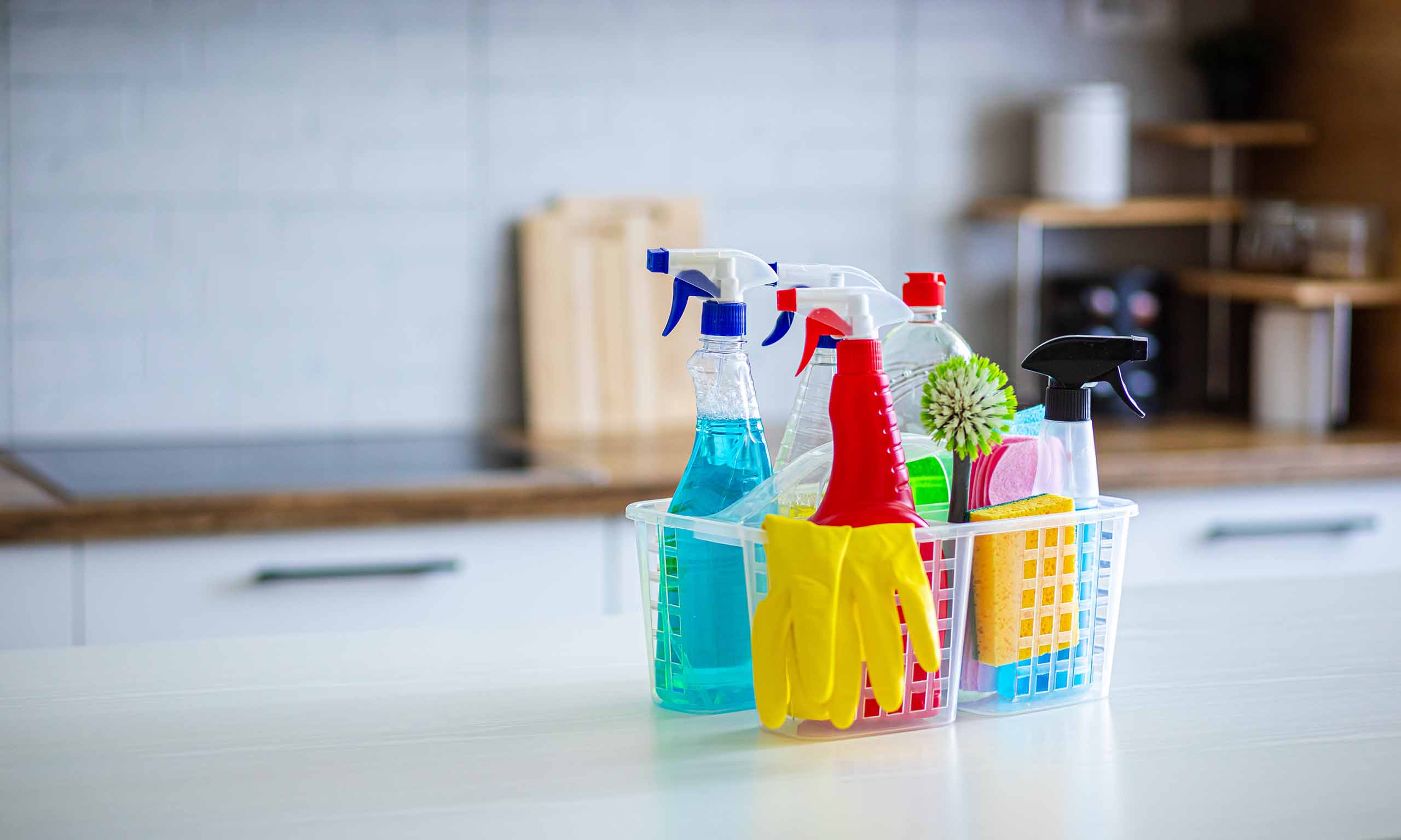 Photo of cleaning products representing Sagentia Regulatory's biocides consulting services for EU BPR and GB BPR
