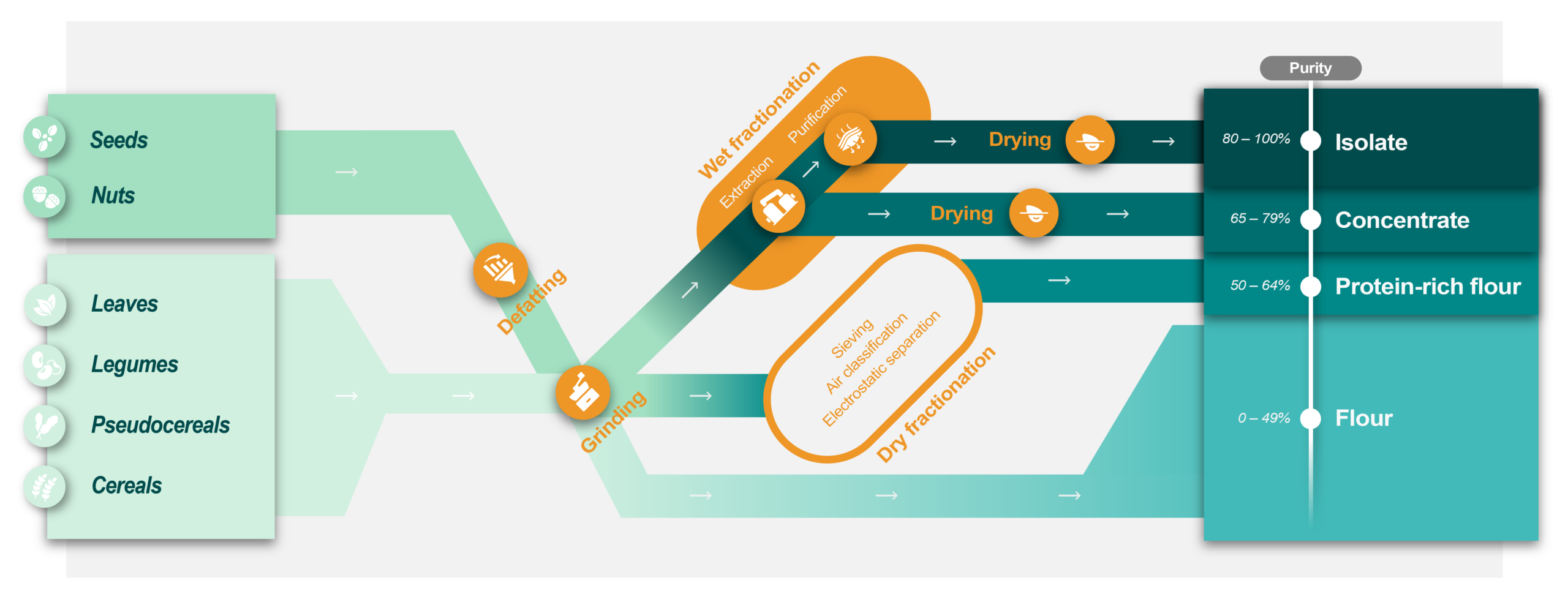 How processing influences the purity of protein ingredients